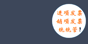 金税接口